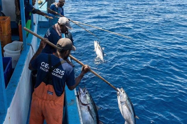 about video 640 x 426 1