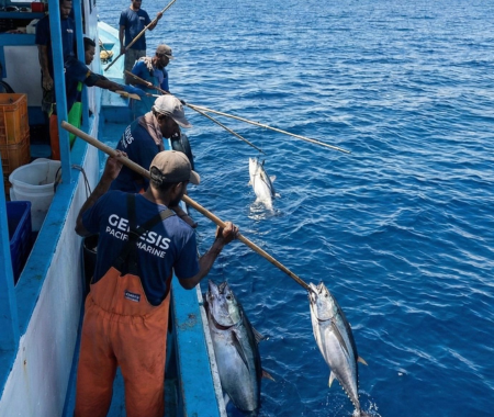 cv genesis pacific marine yellowfin tuna indonesia.4