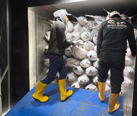 cv genesis pacific marine yellowfin tuna indonesia.5