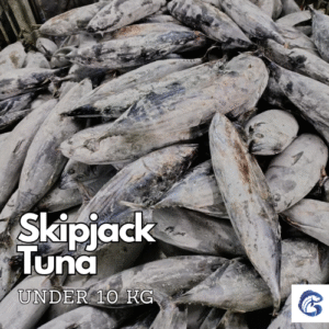 CV GENESIS PACIFIC MARINE - - seafood supplier indonesia - Tuna supplier indonesia - frozen tuna supplier indonesia - indonesia tuna exporter - Yellowfin tuna supplier indonesia - Frosen tuna indonesia - EU approved tuna supplier indonesia - HACCP tuna supplier indonesia - frozen tuna loin indoneisa - bulk tuna supplier indonesia