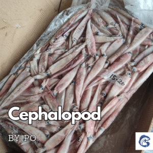 CV GENESIS PACIFIC MARINE - - seafood supplier indonesia - Tuna supplier indonesia - frozen tuna supplier indonesia - indonesia tuna exporter - Yellowfin tuna supplier indonesia - Frosen tuna indonesia - EU approved tuna supplier indonesia - HACCP tuna supplier indonesia - frozen tuna loin indoneisa - bulk tuna supplier indonesia