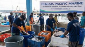 cv genesis pacific marine 24