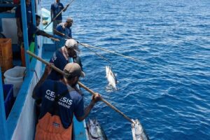 cv genesis pacific marine23